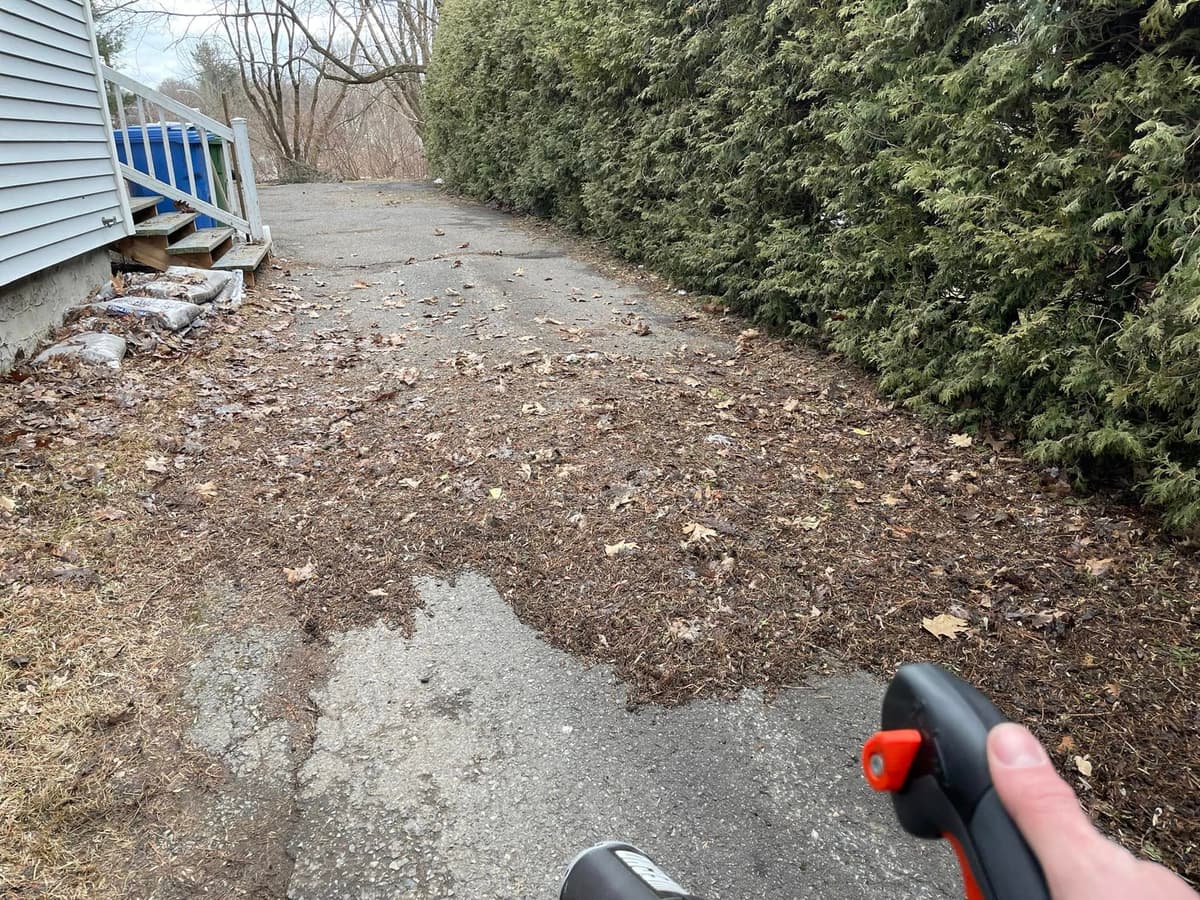 Walkway covered in leaves and debris before a spring cleanup