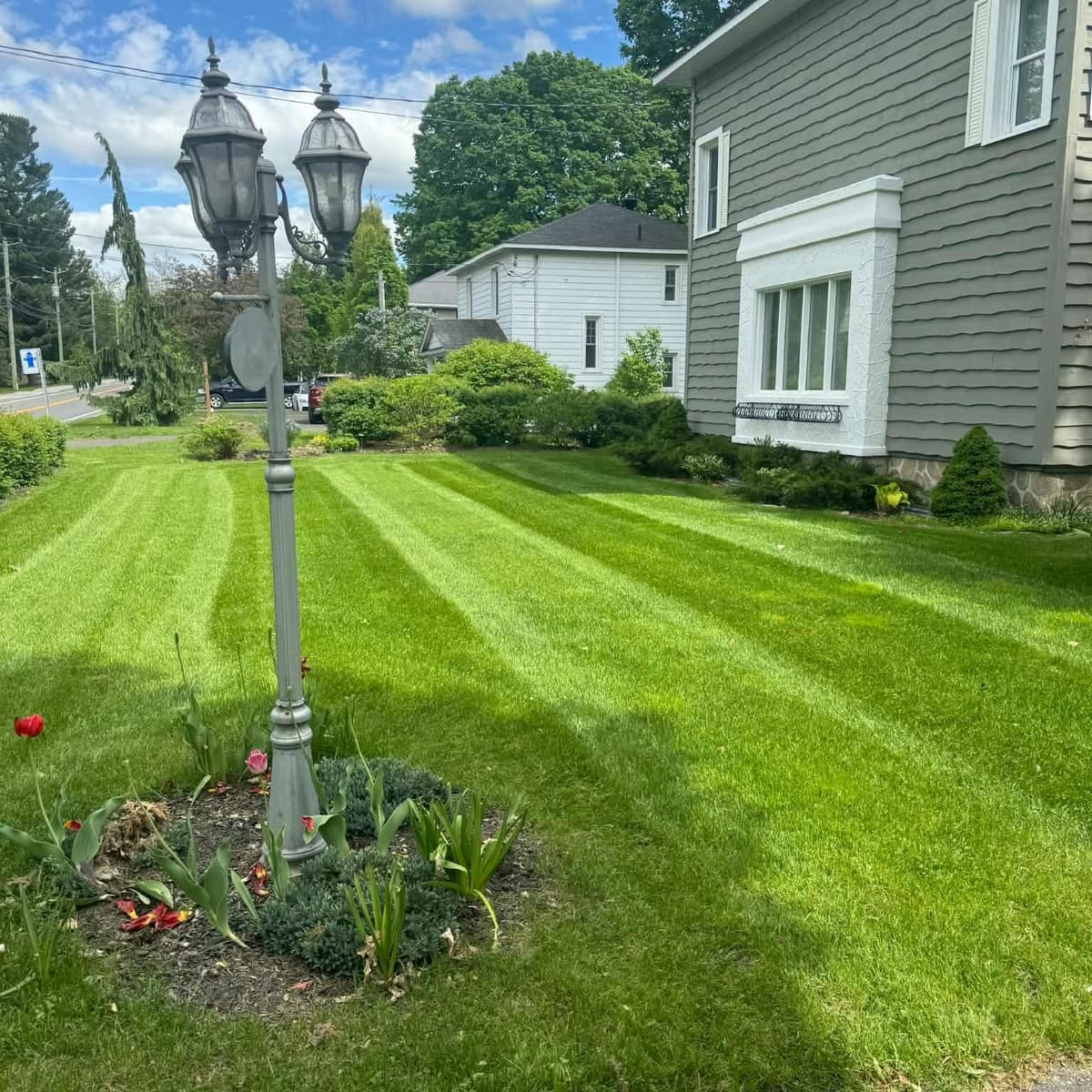 Healthy residential lawn mowed in stripes