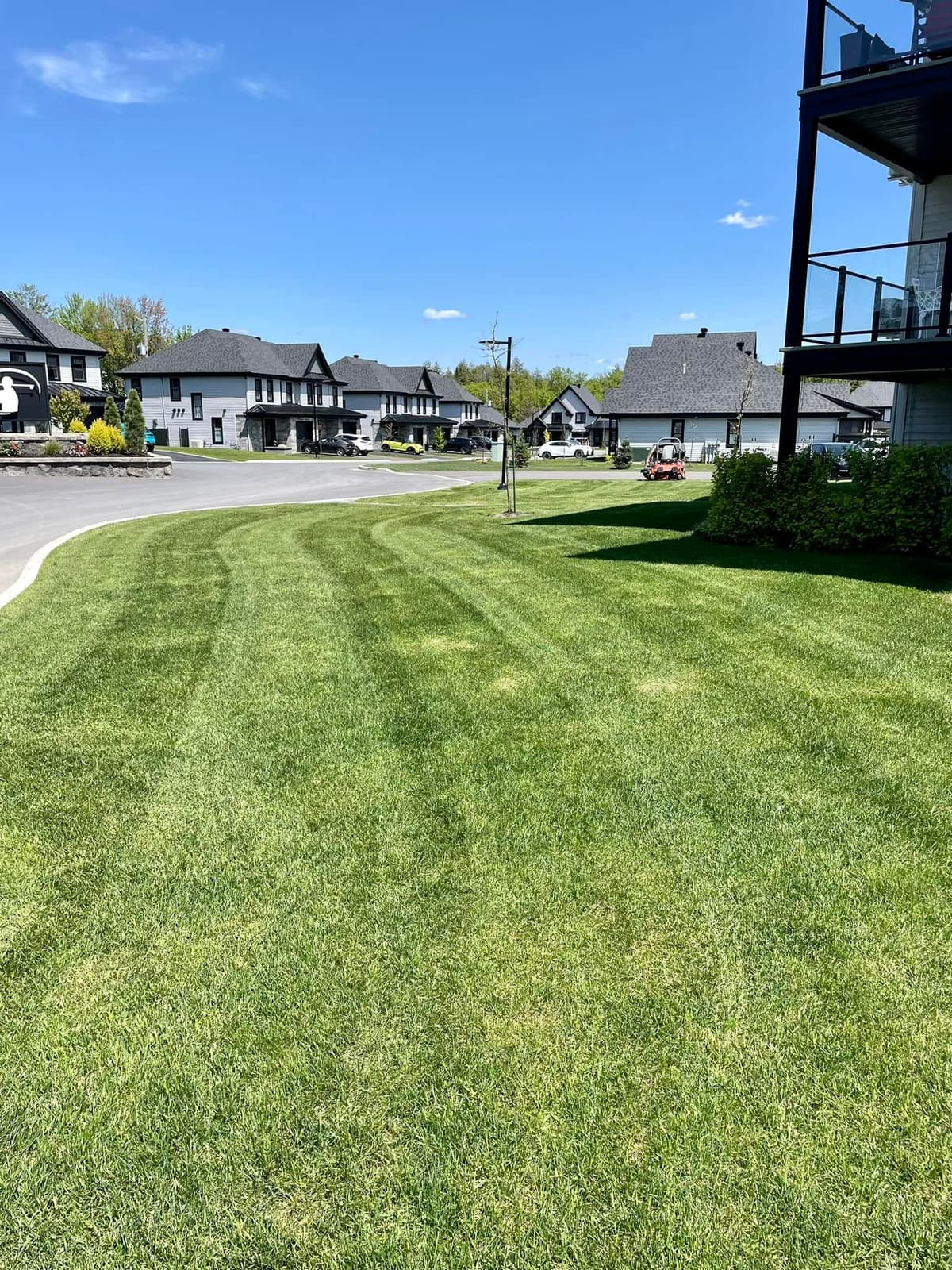 Lawn mowed in stripes in front of residential buildings