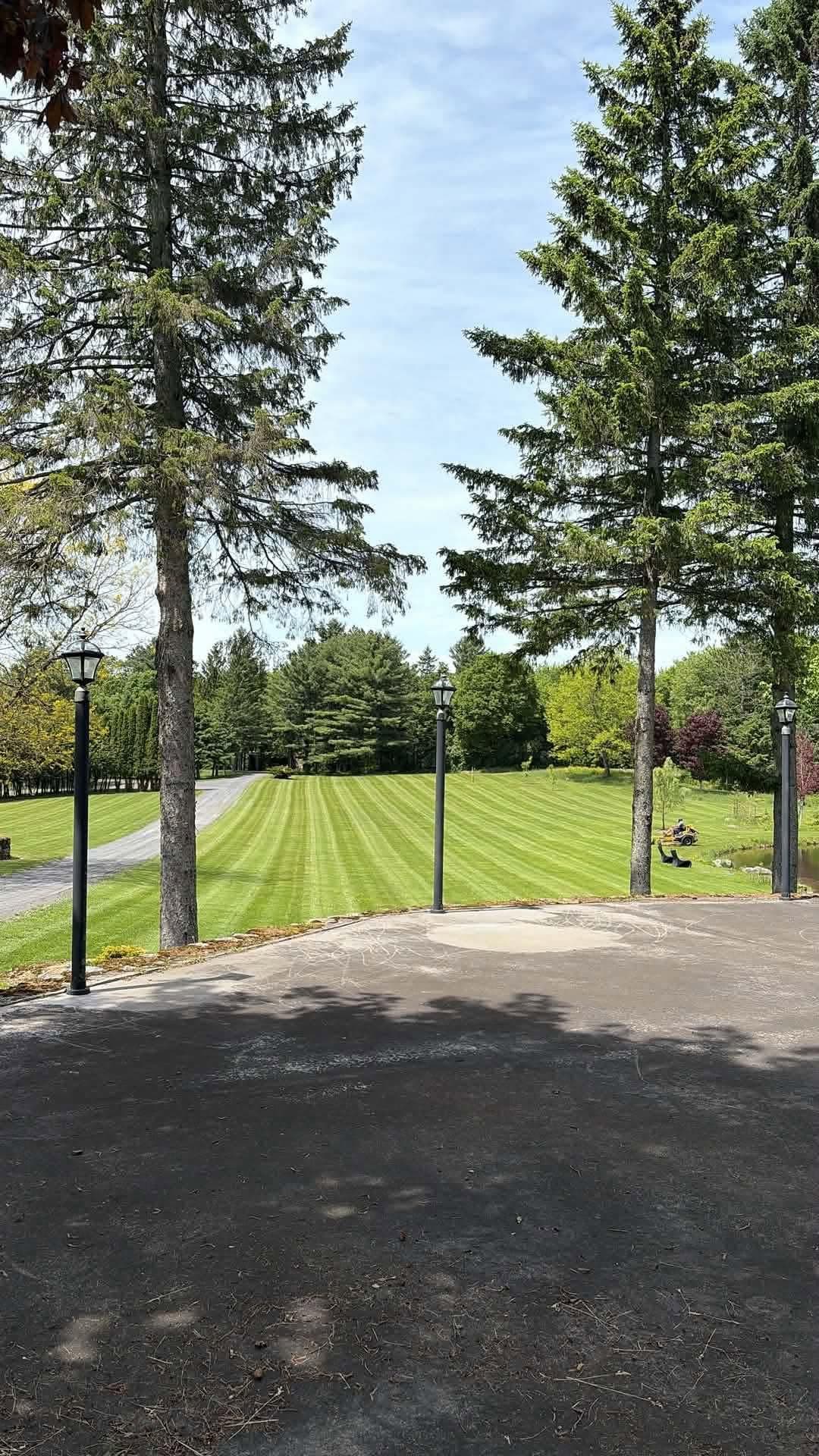 Dense green lawn framed by evergreens